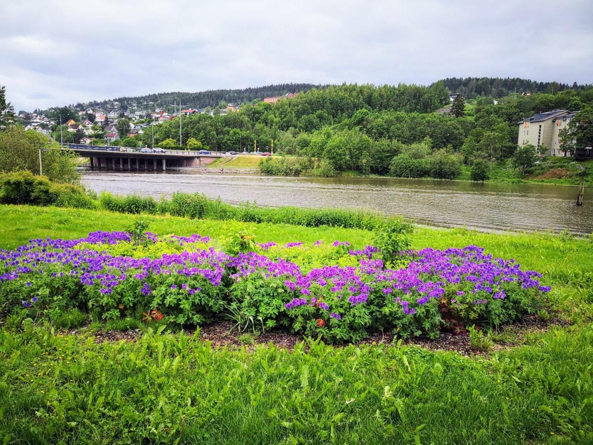 Fully Furnished Lillestrom